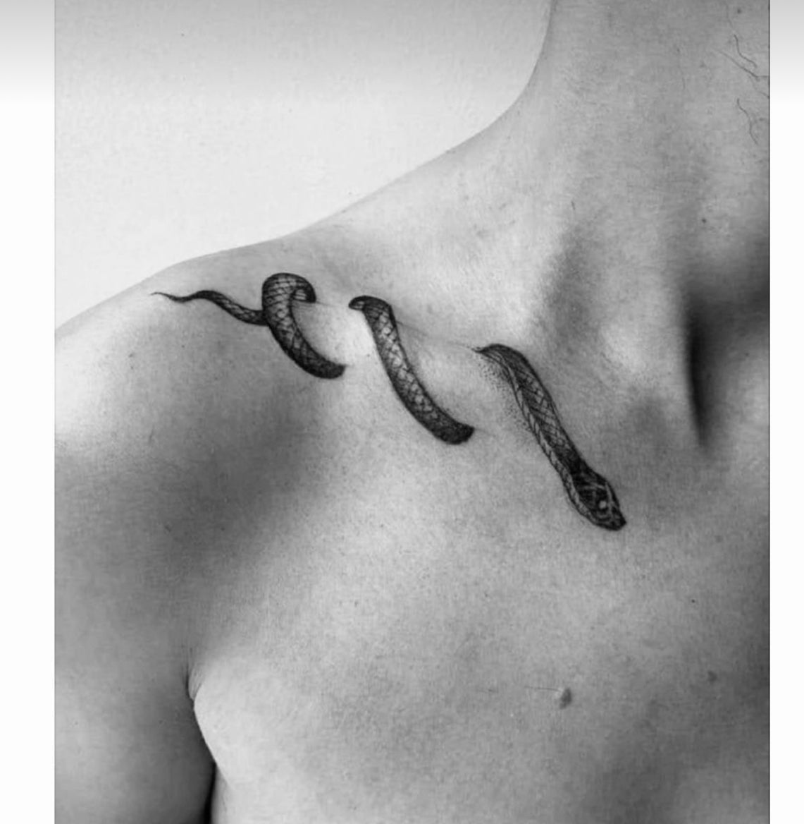 4 serpents(Noir)
