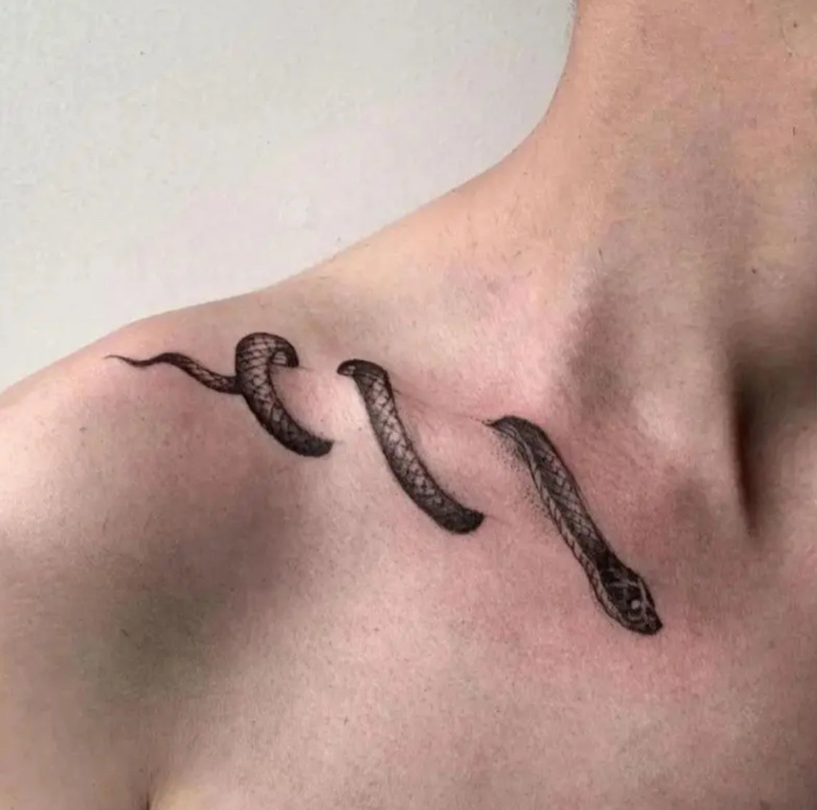 4 serpents(Noir)